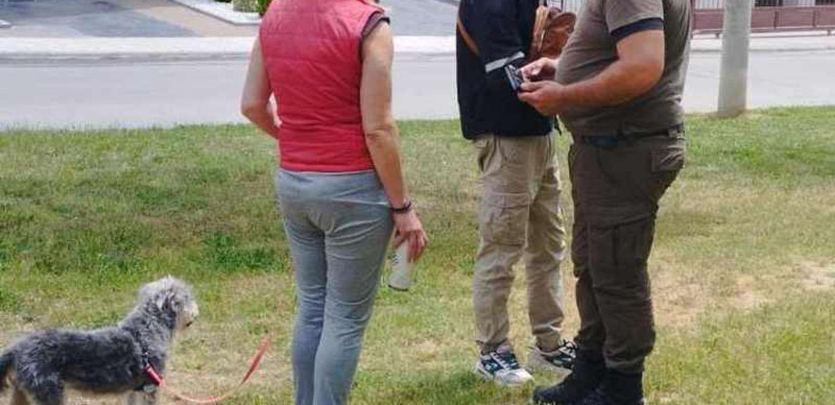 Θεσσαλονίκη: Επιχειρήσεις ελέγχου για δεσποζόμενα ζώα - Πρόστιμα για λουριά, σήμανση και καθαριότητα