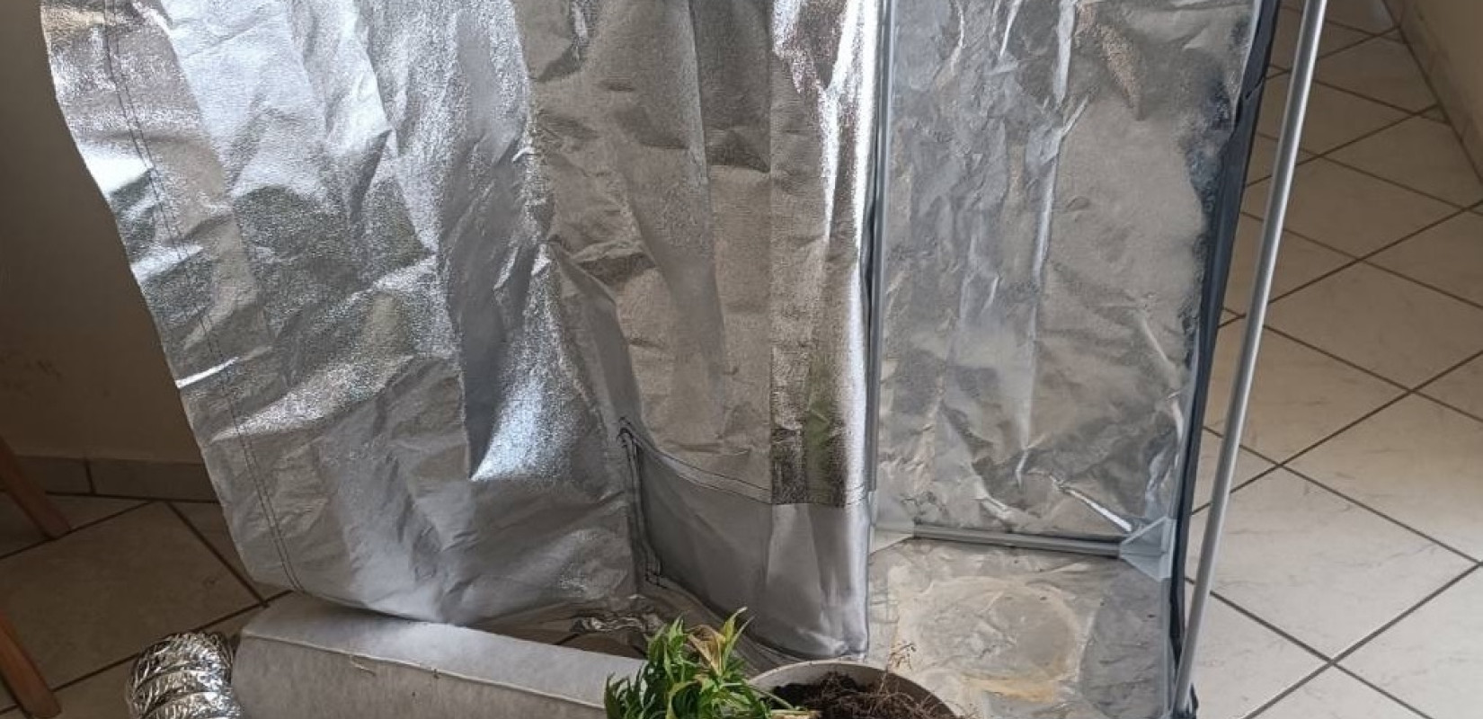 Χαλκιδική: Δύο συλλήψεις για κάνναβη και ναρκωτικά Χαλκιδική: Δύο συλλήψεις για κάνναβη και ναρκωτικά