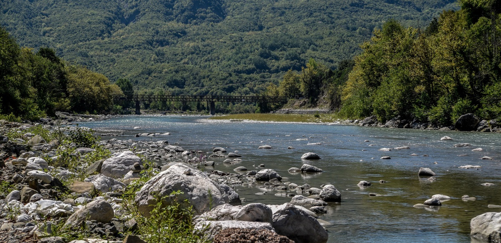 Τραγικός επίλογος στην τραγωδία του Αράχθου - Εγκεφαλικά νεκρά τα δύο παιδιά