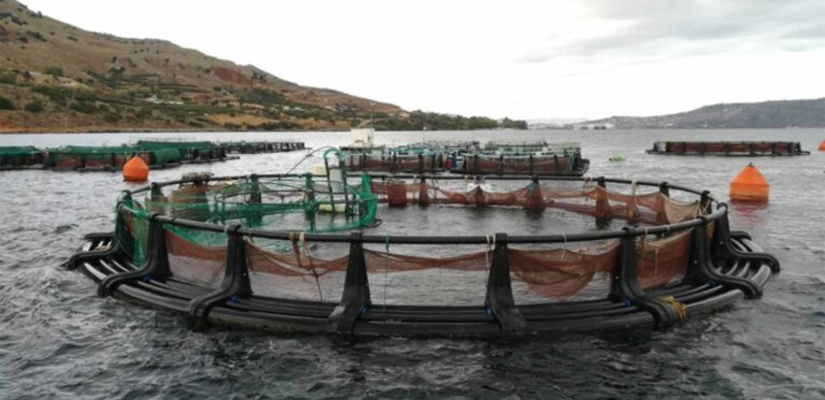 Κρήτη: Έκλεψαν ψάρια από ιχθυοκλωβό του ΕΛΚΕΘΕ - Κατέστρεψαν και τον εξοπλισμό της μονάδας