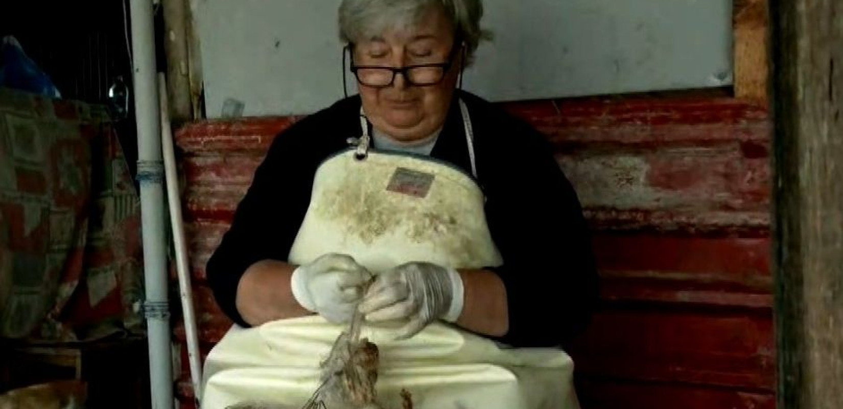 Έβρος: Ηλεκτροδοτήθηκε η καλύβα που ζει επί 45 χρόνια η «Κυρά του Δέλτα»