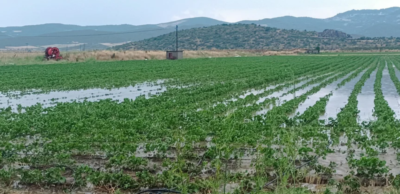 Ελεγχόμενες αλλά σοβαρές για κάποιους παραγωγούς οι ζημιές από την πρόσφατη κακοκαιρία σε Πιερία, Χαλκιδική και Δ. Μακεδονία
