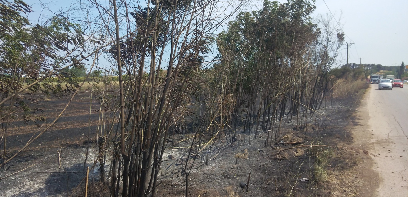 Φωτό αρχείου