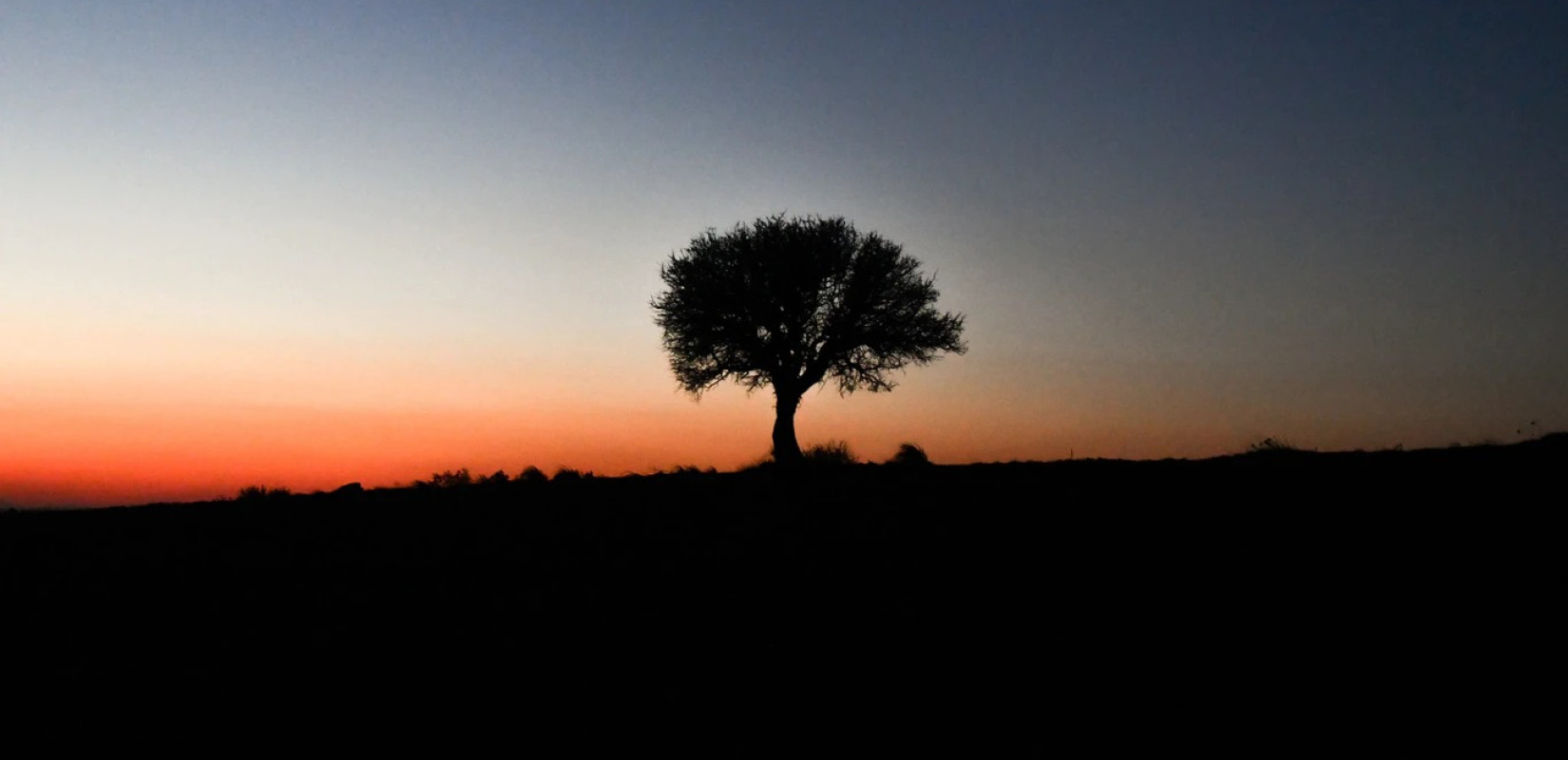 «Ένα Φεστιβάλ» στη Σαμοθράκη - Όλο το πρόγραμμα