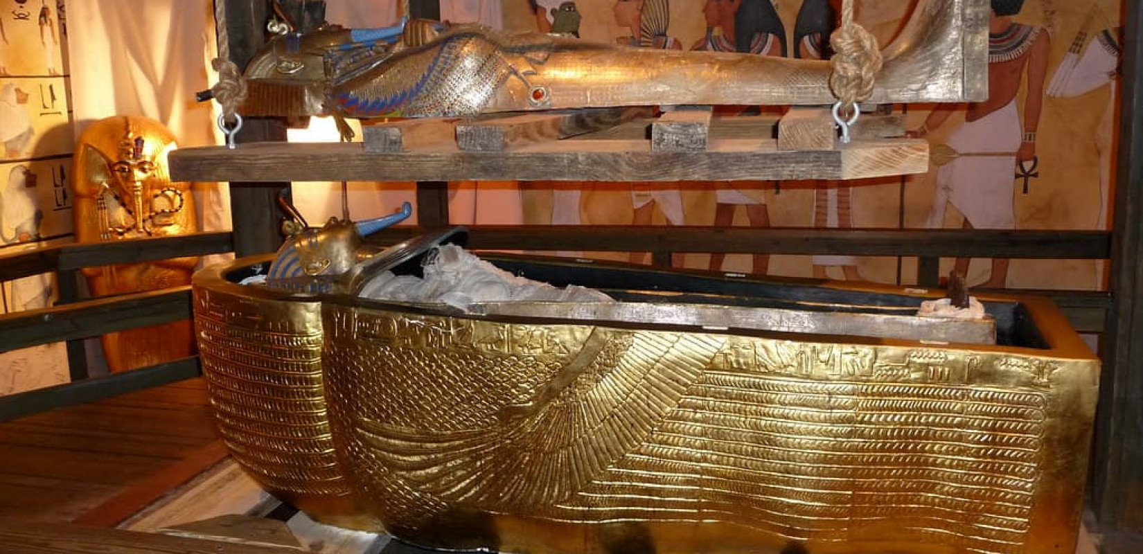 Τοξικός μύκητας της «κατάρας των Φαραώ» μετατρέπεται σε φάρμακο κατά της λευχαιμίας