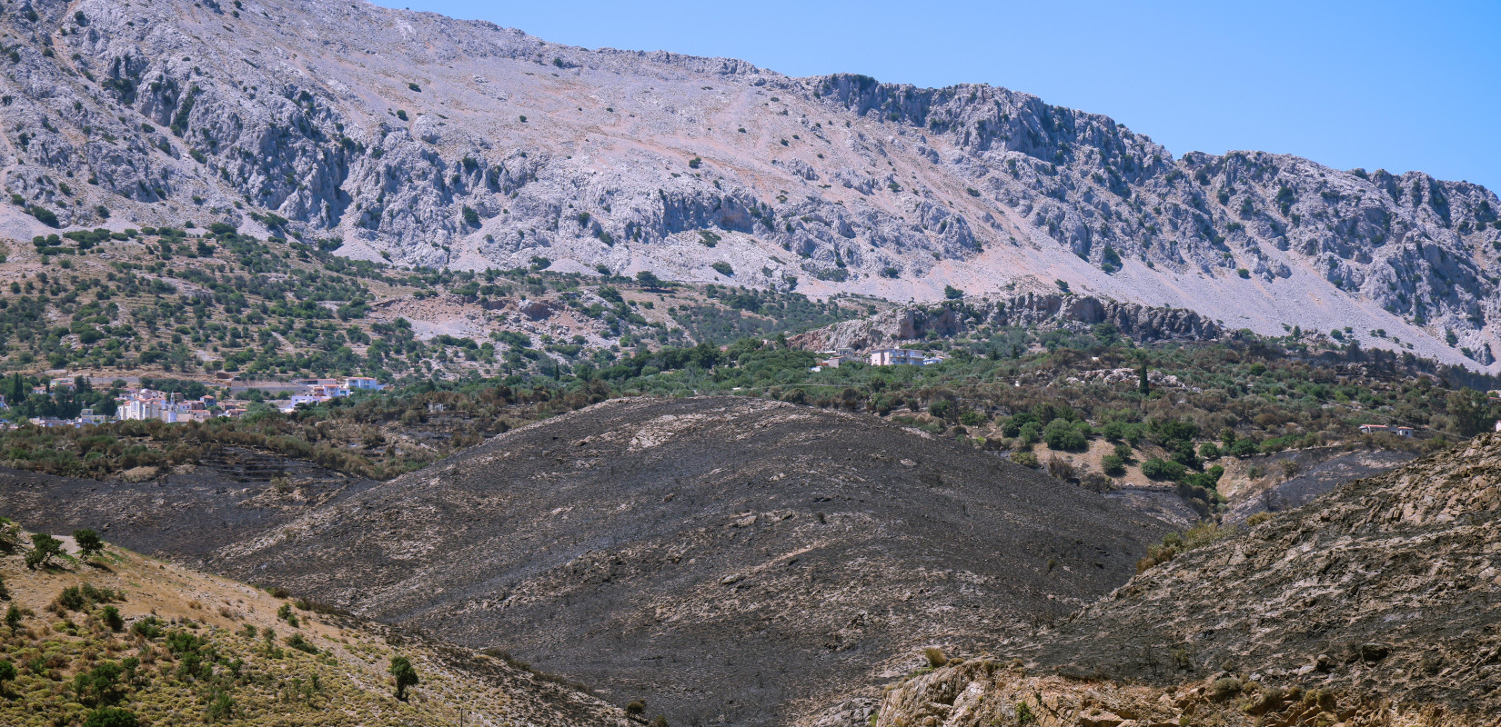 Σοκαριστική καταγγελία για το «πάρτι» στον ΟΠΕΚΕΠΕ: «Κάηκαν τα βοσκοτόπια και δεν μας δίνουν αποζημίωση γιατί τα έχουν δηλώσει Κρητικοί»