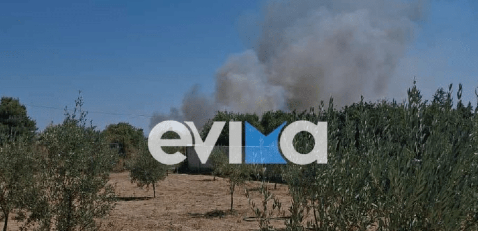 Φωτιά στο Αλιβέρι: Κοντά στα σπίτια οι φλόγες –  Ήχησε το 112 για την εκκένωση δύο οικισμών