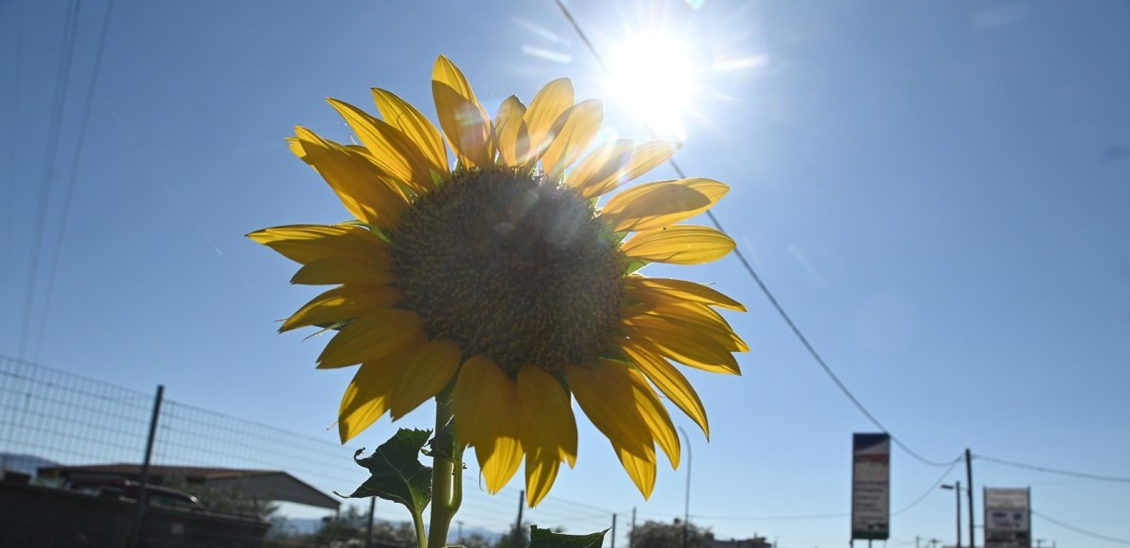 Αττική: Ο χειμώνας 2025-2026 ήταν ο 2ος θερμότερος και 3ος βροχερότερος στην ιστορία