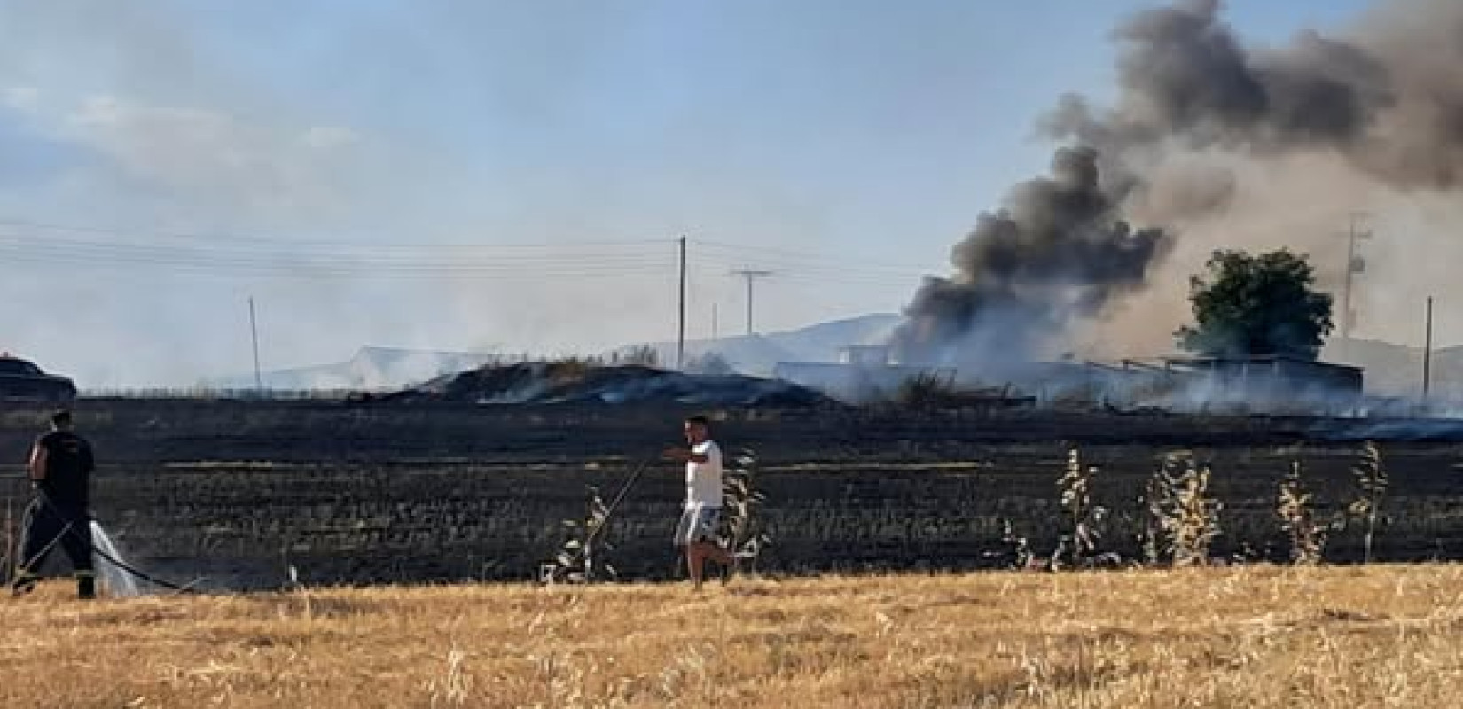 Θεσσαλονίκη: Φωτιά στη Νεοχωρούδα - Τέθηκε άμεσα υπό έλεγχο