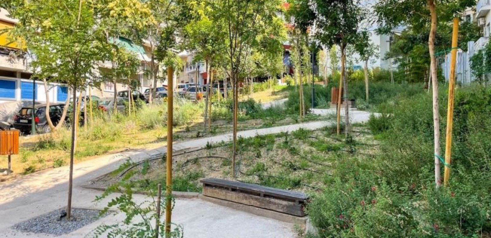 Θεσσαλονίκη: Έπεσαν τα πρώτα πρόστιμα για δολιοφθορές σε νεοφυτεμένα δέντρα του δήμου