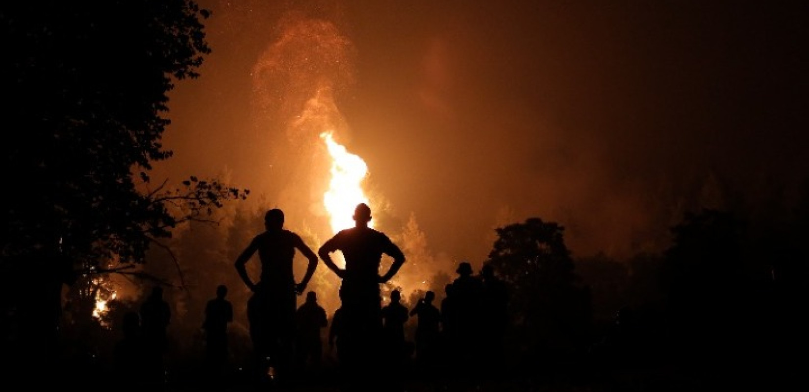 Κάρυστος: Σκληρή μάχη με τις φλόγες