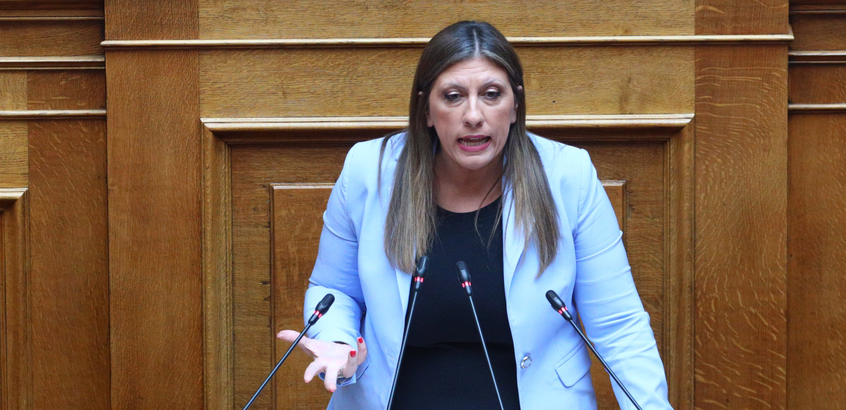 Ζ. Κωνσταντοπούλου: «Ο νέος θάνατος στρατιώτη αποκαλύπτει το επισφαλές περιβάλλον, στο οποίο οι νέοι υπηρετούν τη θητεία τους»