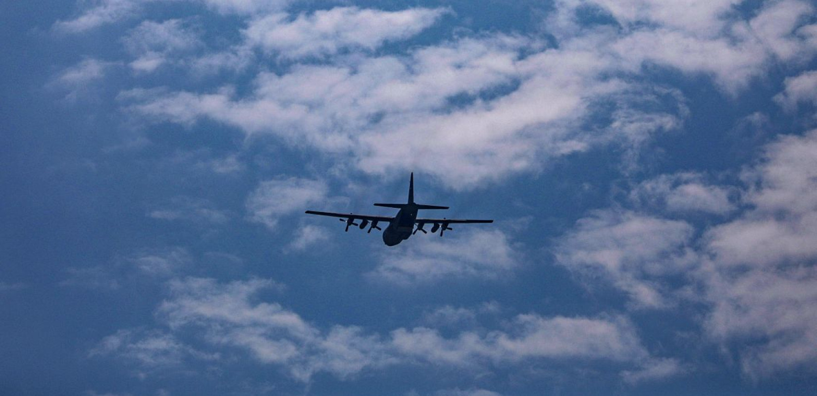 Ιταλία: Πρώτη δοκιμαστική πτήση με επιβαίνοντες μεγάλα σκυλιά που ταξίδεψαν μαζί με τους ιδιοκτήτες τους