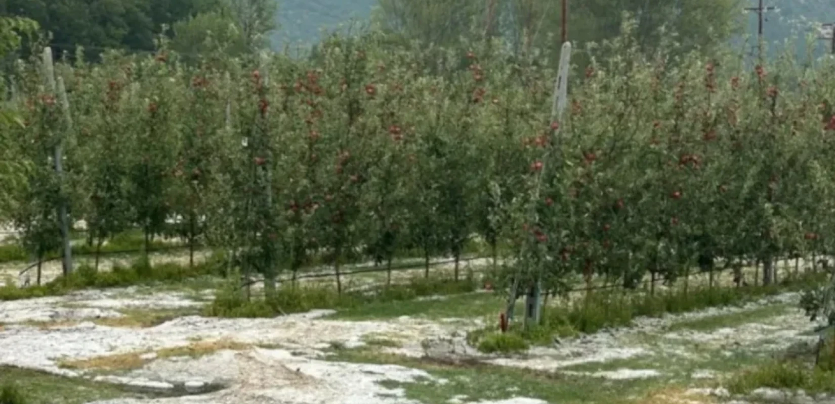 Χαλάζι προκάλεσε καταστροφές στην Καστοριά