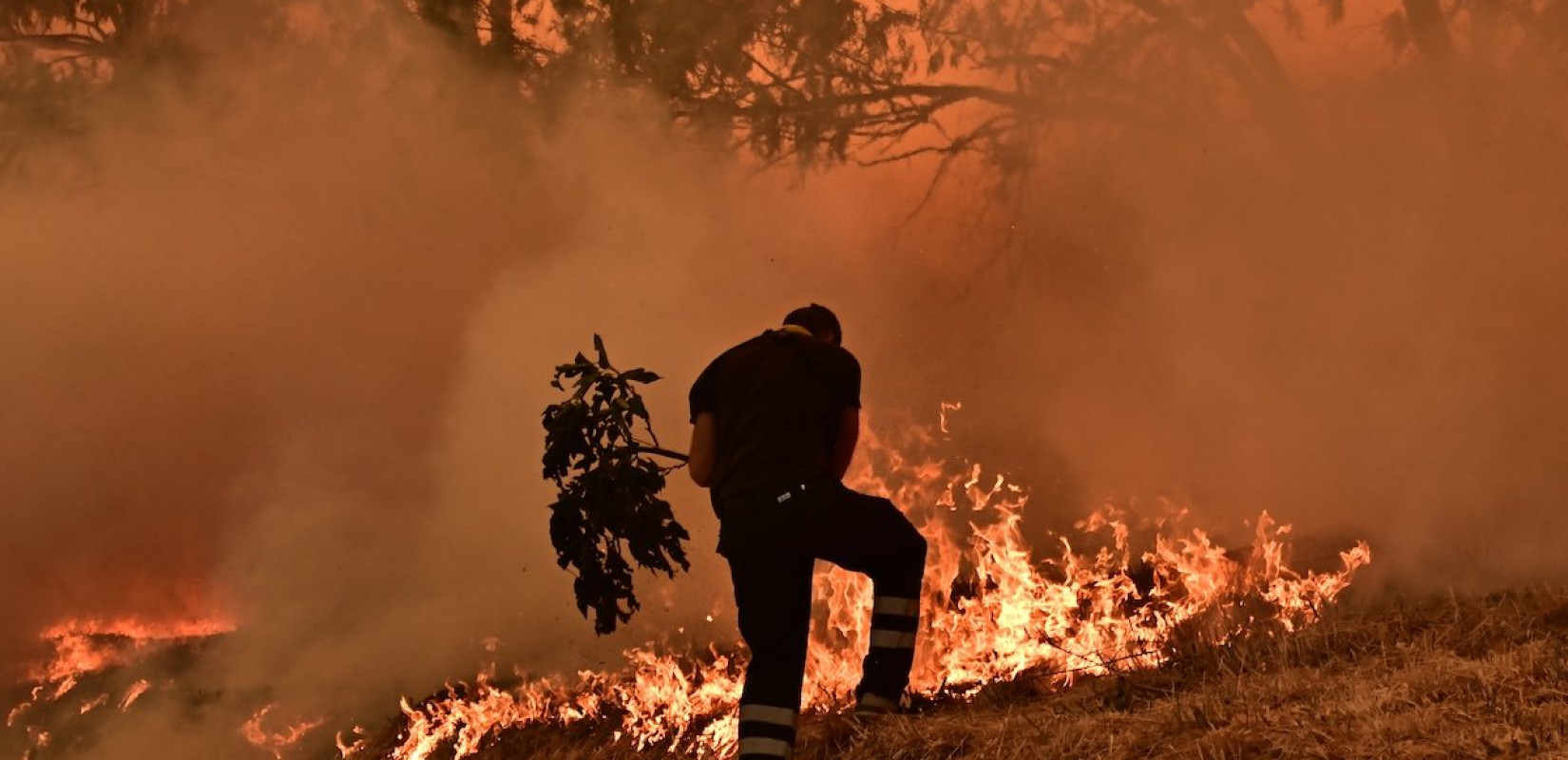 Αττική: Ολονύχτια αγωνία, μετά την αναζωπύρωση στο Κρυονέρι