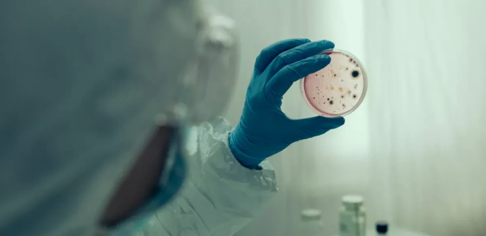 ECDC: Δεύτερο ύποπτο κρούσμα χολέρας στην Πολωνία