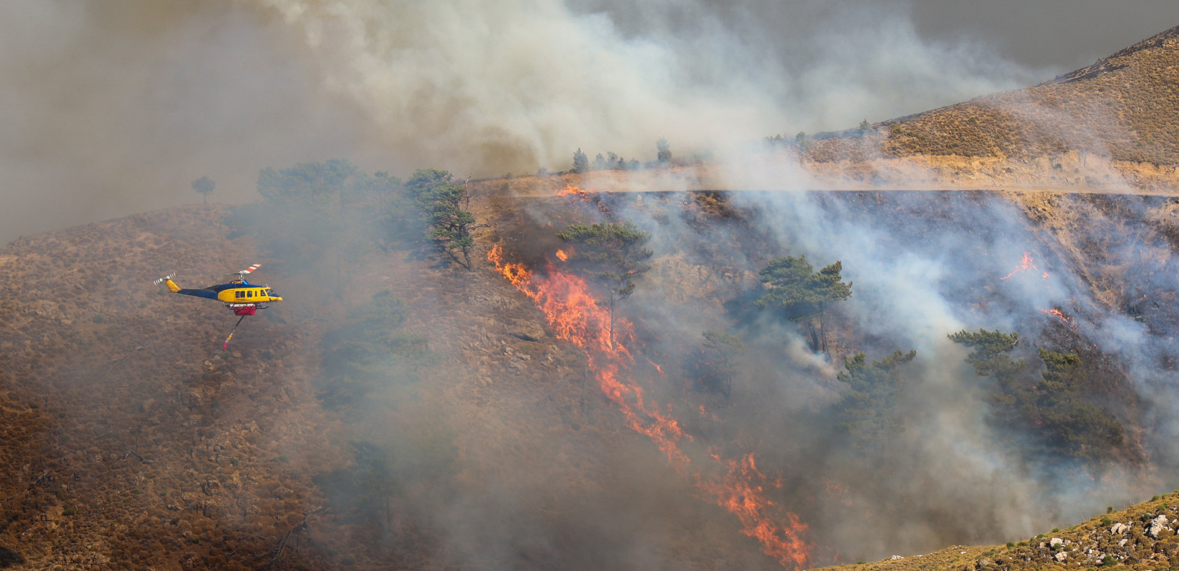 Πυρόπληκτοι Χίου: Δημιουργήθηκε ειδική πλατφόρμα υποβολής αίτησης για προσωρινή διαμονή