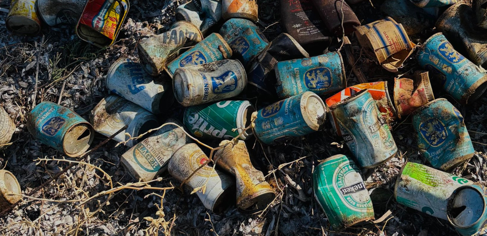 Αναψυκτικά... 40 ετών και εύφλεκτα υλικά σε δυσπρόσιτες παραλίες της Χαλκιδικής συνέλεξαν οι Cleaningans