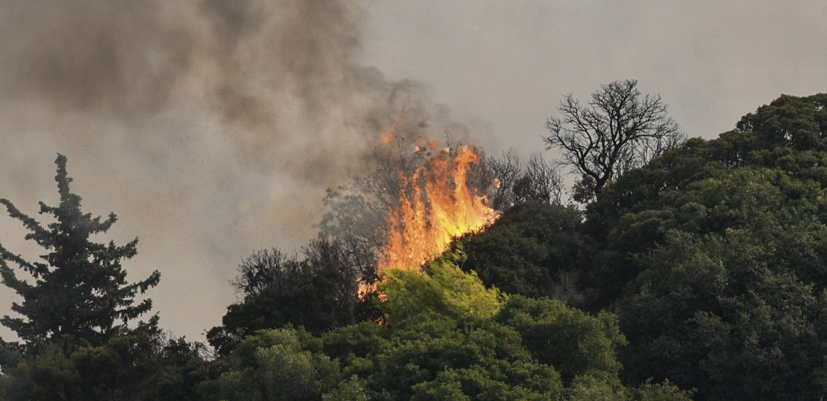 Φωτ. αρχείου