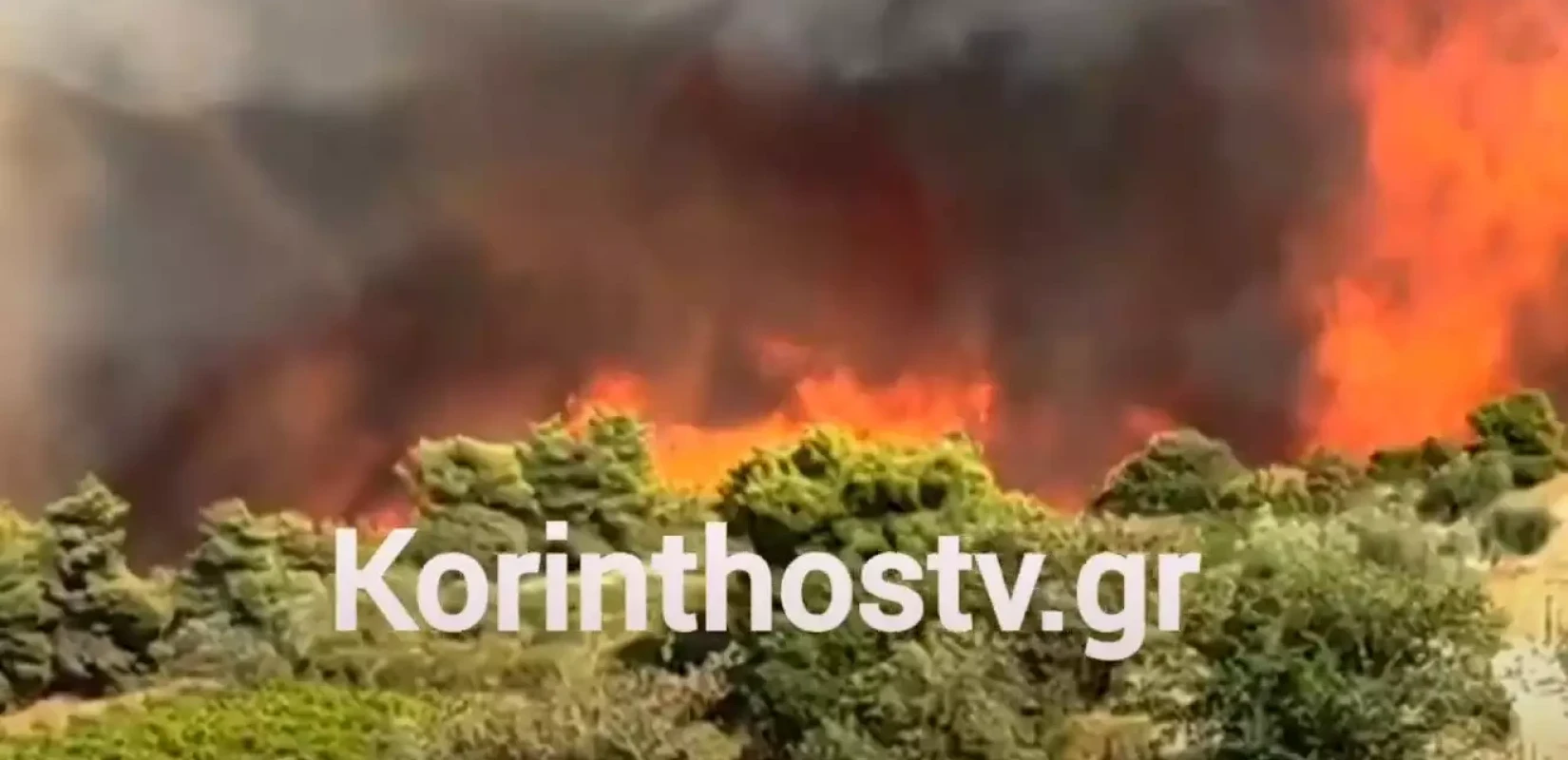 Φωτιά σε δάσος στην Αρχαία Νεμέα - 112 για εκκένωση (βίντεο)