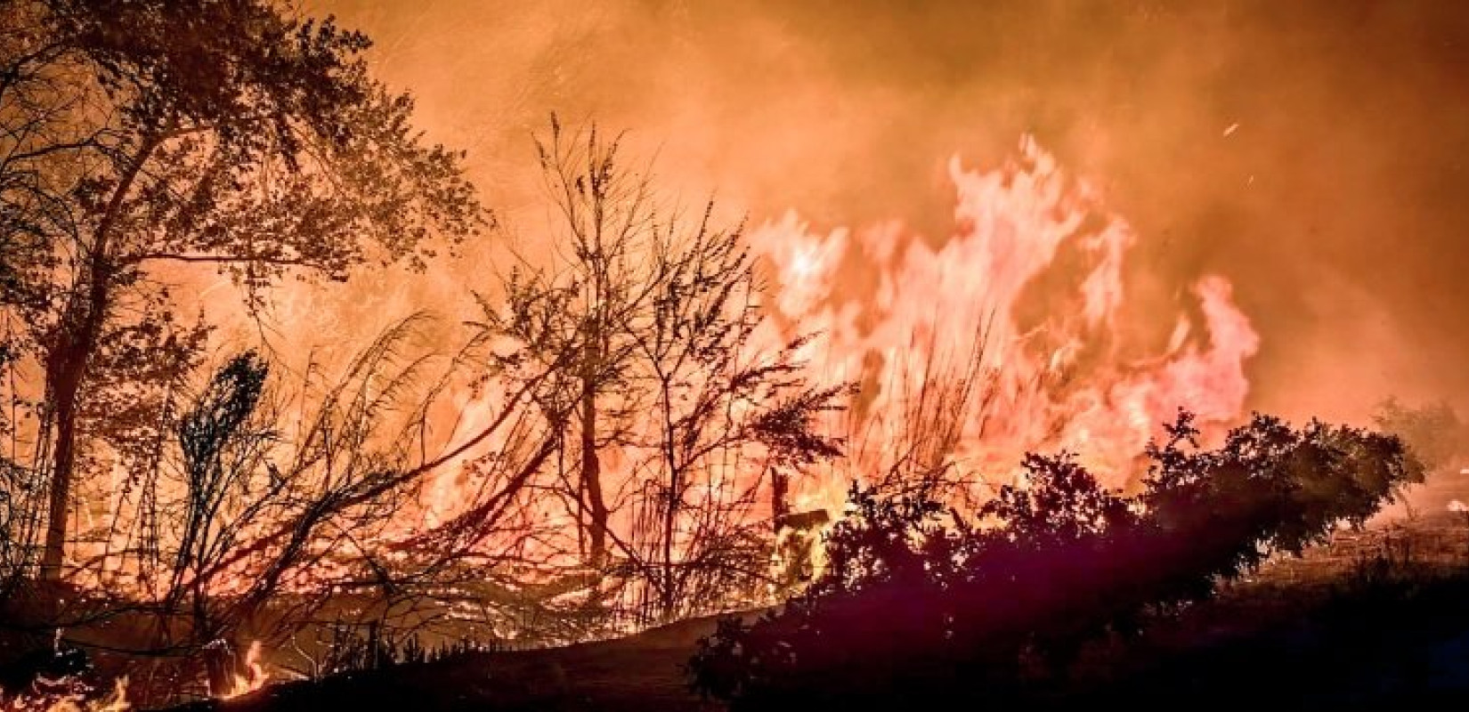 Αργολίδα: Φωτιά σε δασική έκταση στο Κουνούπι - Πρέπει να απομακρυνθούν κάτοικοι
