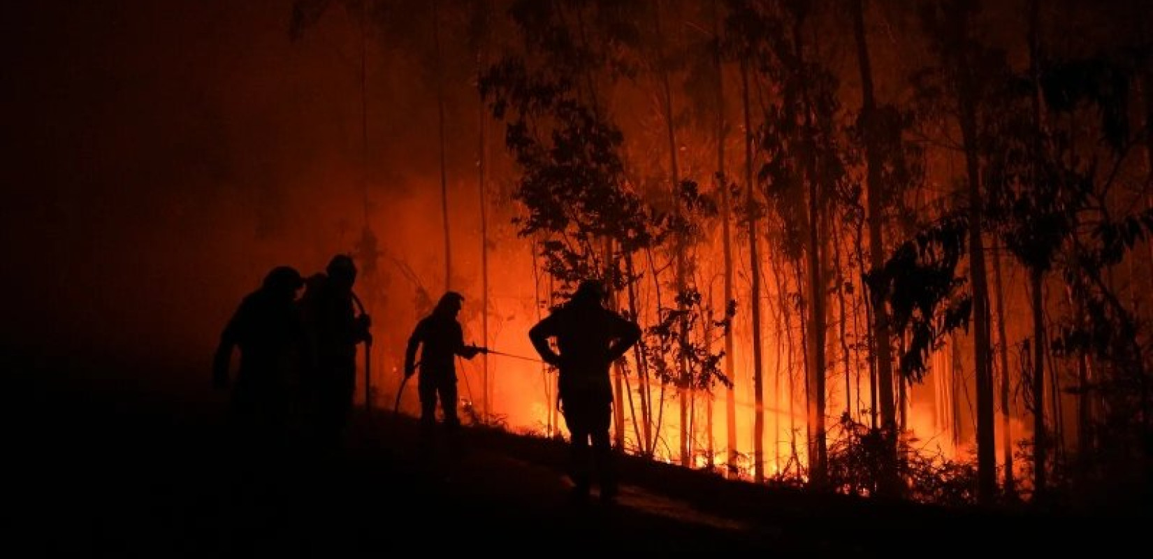 Σε πύρινο κλοιό η βορειοδυτική Ισπανία – Πάνω από 1.000 απομακρύνσεις λόγω δασικών πυρκαγιών (βίντεο)