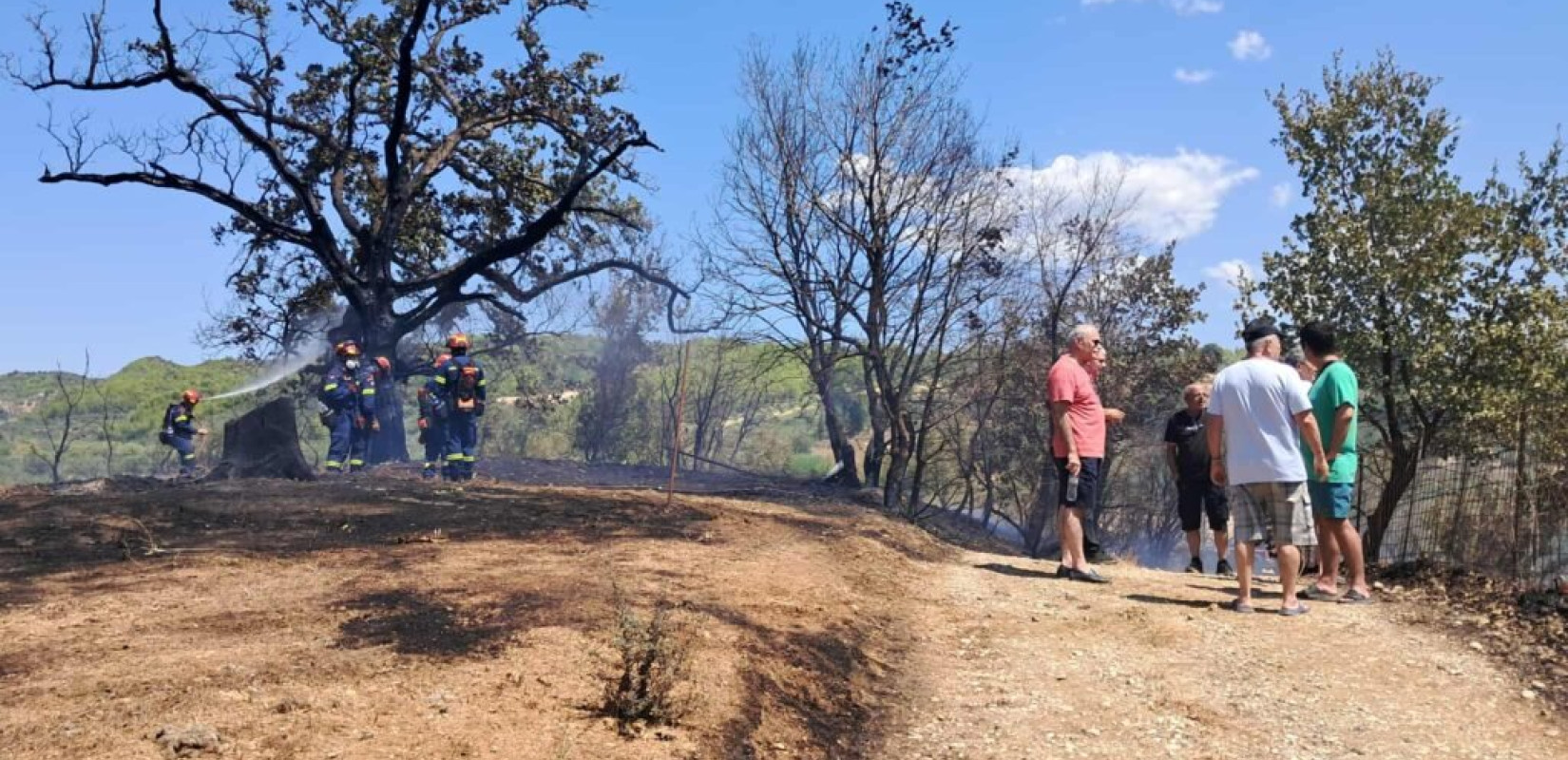 Οριοθετήθηκε άμεσα η φωτιά στον Ελαιώνα Πύργου