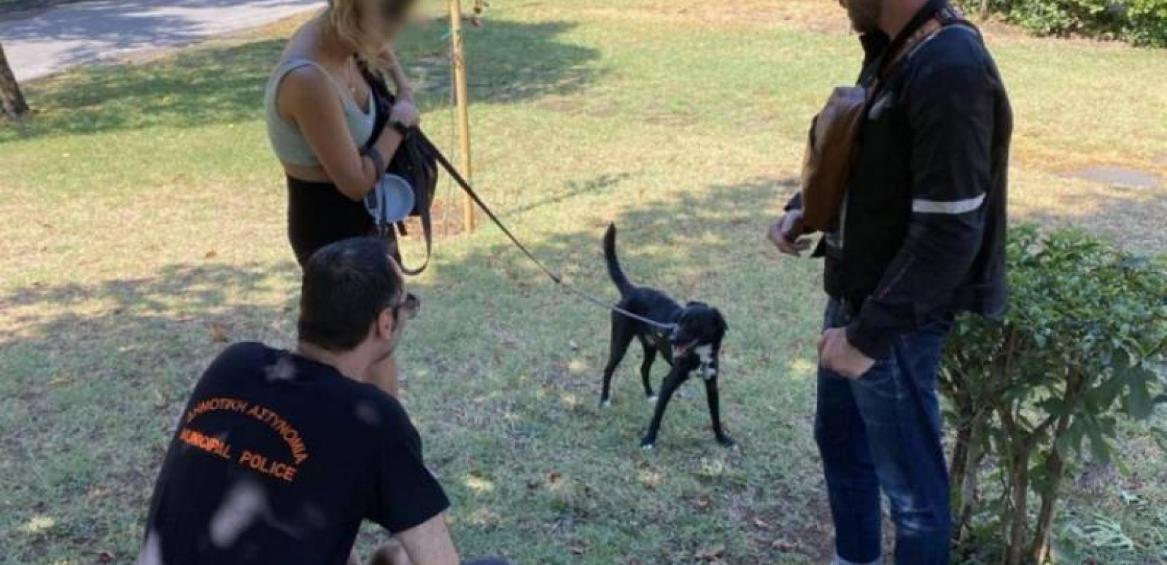 Θεσσαλονίκη: Πρόστιμα 14.000 ευρώ σε ιδιοκτήτες δεσποζόμενων ζώων για παραβάσεις τον Αύγουστο