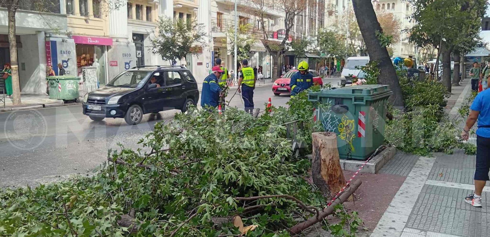 Θεσσαλονίκη: Μεγάλο κλαδί έπεσε στην Τσιμισκή - Κλειστή η μία λωρίδα