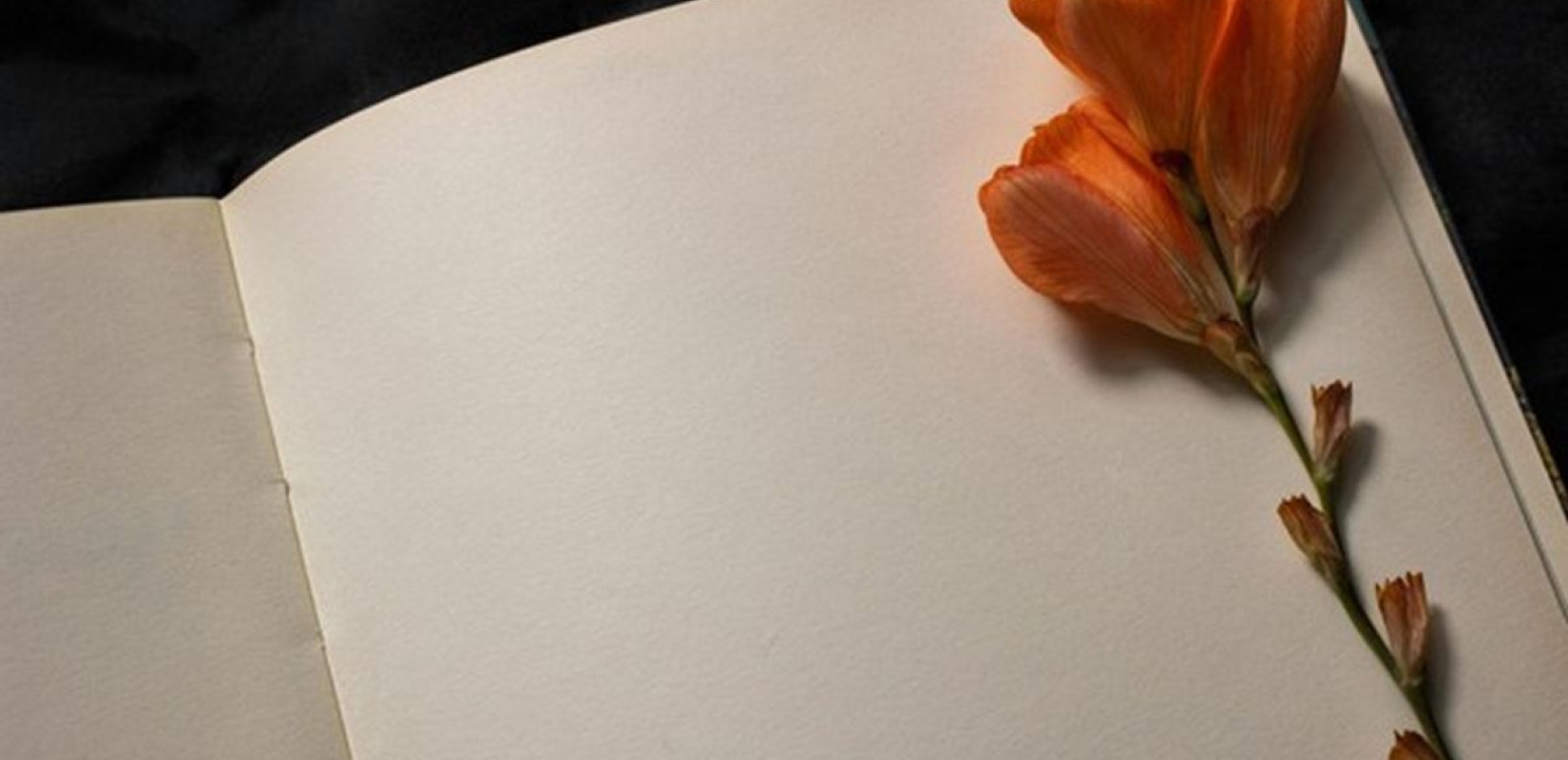 Βέροια: Η δημόσια βιβλιοθήκη καλεί τους πολίτες σε μια βραδιά χαλάρωσης του σώματος και επαφής με τα βιβλία