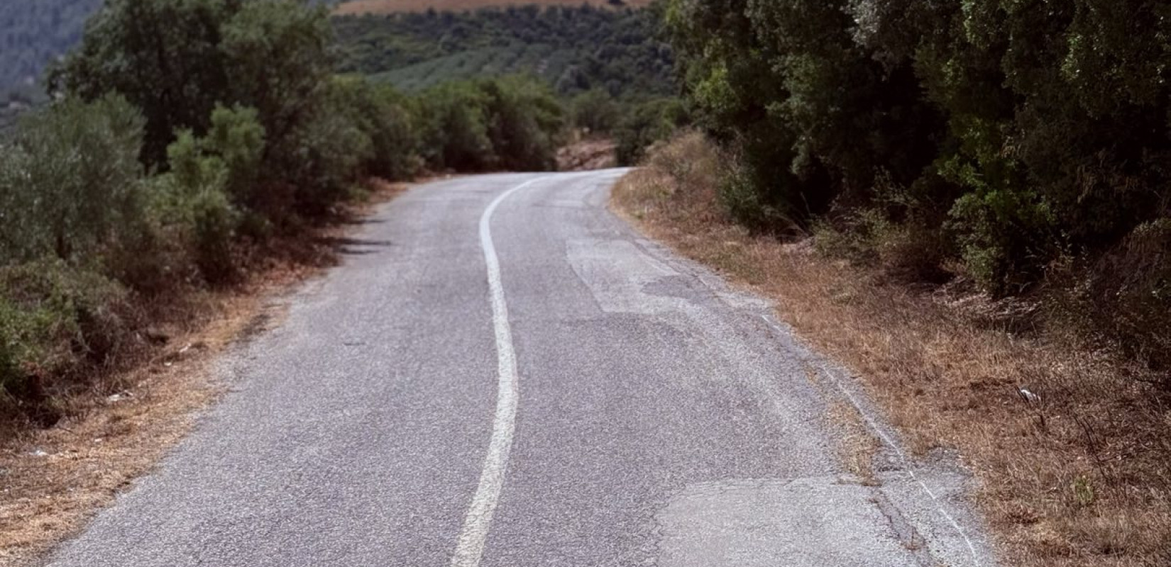 Δήμος Πολυγύρου: Καθαρισμός δρόμου Ορμύλιας-Βραστάμων - Δείτε φωτογραφίες