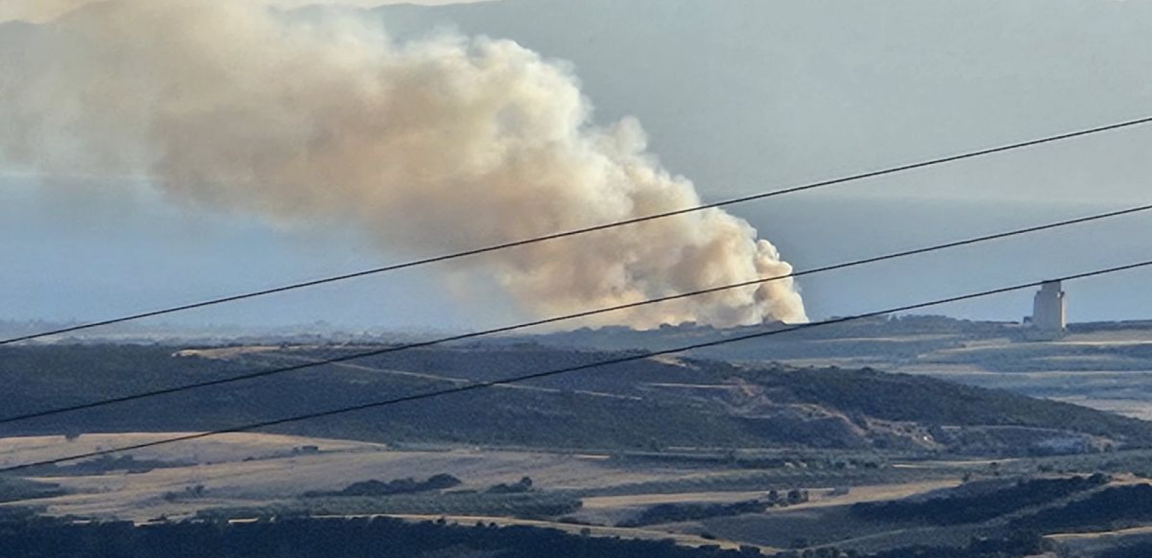 Χαλκιδική: Υπό μερικό έλεγχο η φωτιά στη Νέα Τρίγλια