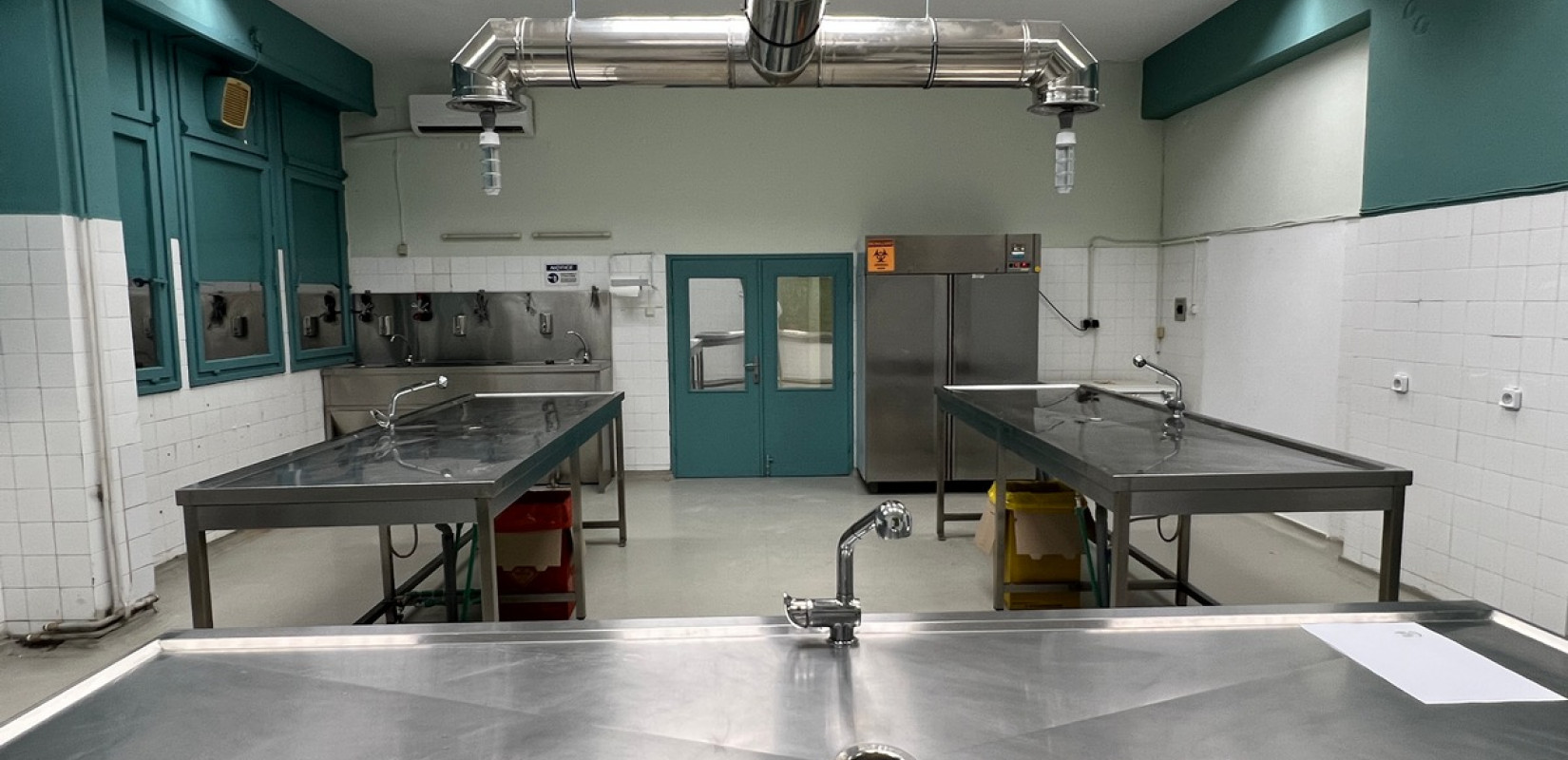 Οι κορυφαίοι Πτηνοπαθολόγοι της Ευρώπης έρχονται στη Θεσσαλονίκη