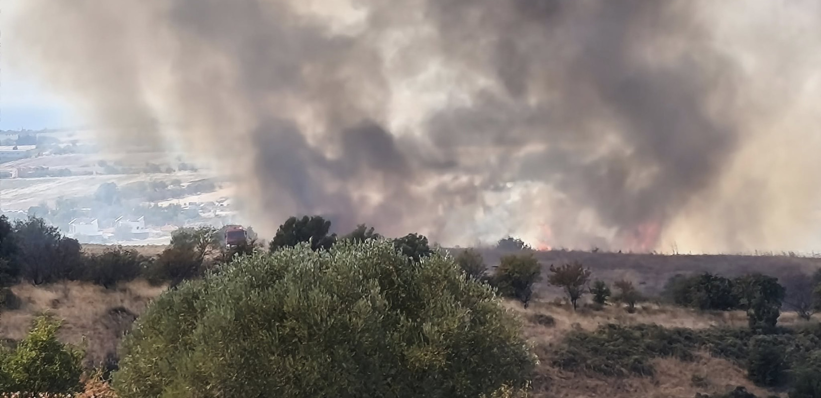 Υπό πλήρη έλεγχο η φωτιά στην Ανατολική Θεσσαλονίκη (βίντεο)