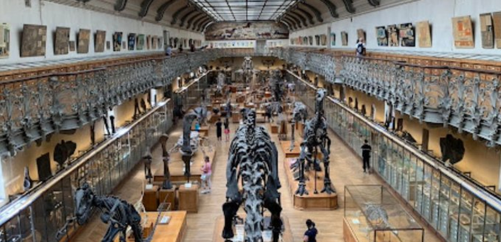 «Ληστεία - μαμούθ» στο Παρίσι: Έκλεψαν 600.000 ευρώ σε χρυσό από το Εθνικό Μουσείο Φυσικής Ιστορίας