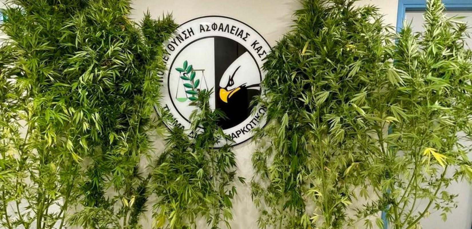 Καστοριά: Ο «Ορφέας» ξετρύπωσε τα ναρκωτικά στο σπίτι και το αγρόκτημα 54χρονου