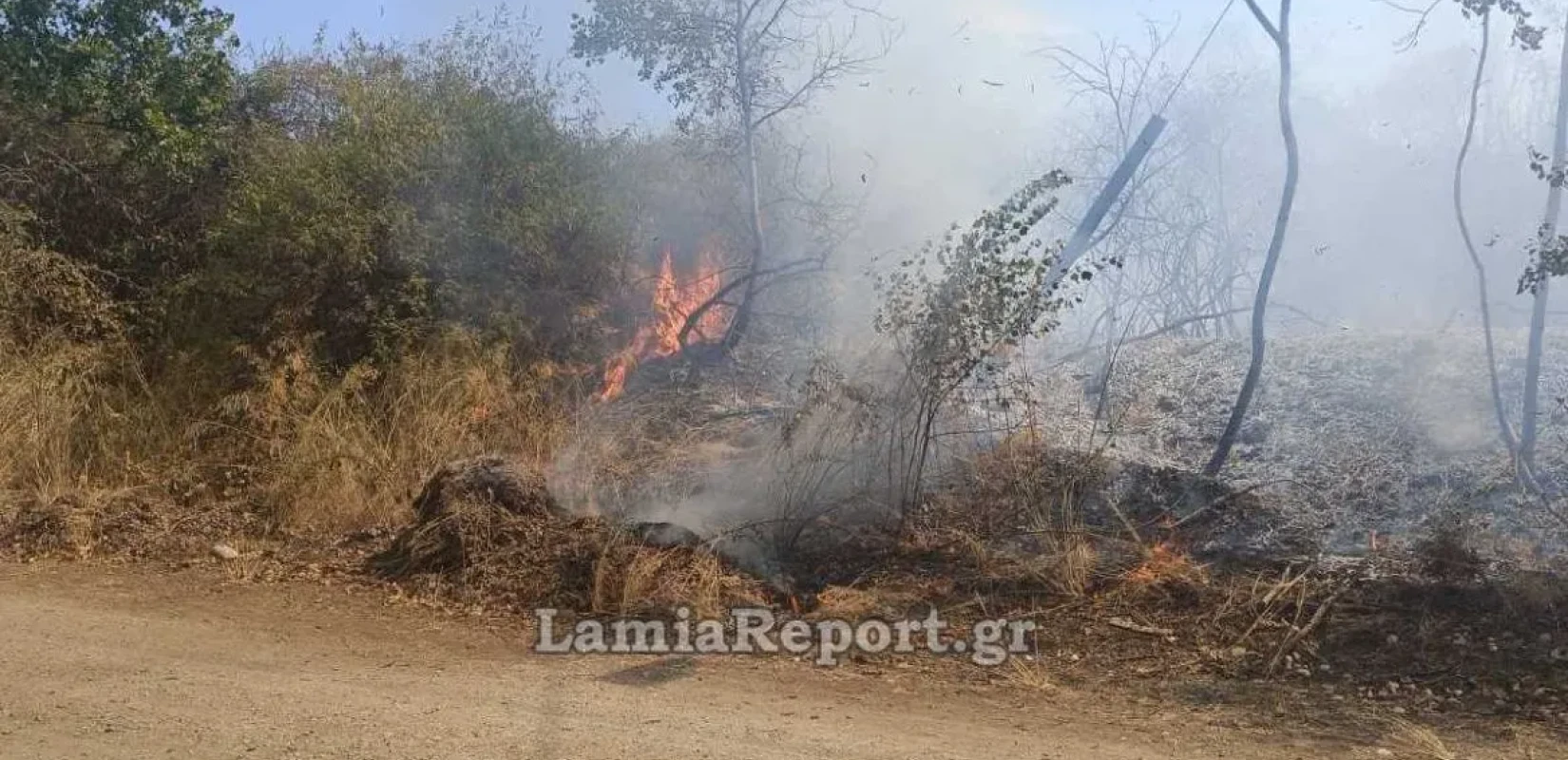 Φωτιά στα Καμένα Βούρλα - Επιχειρούν ισχυρές πυροσβεστικές δυνάμεις