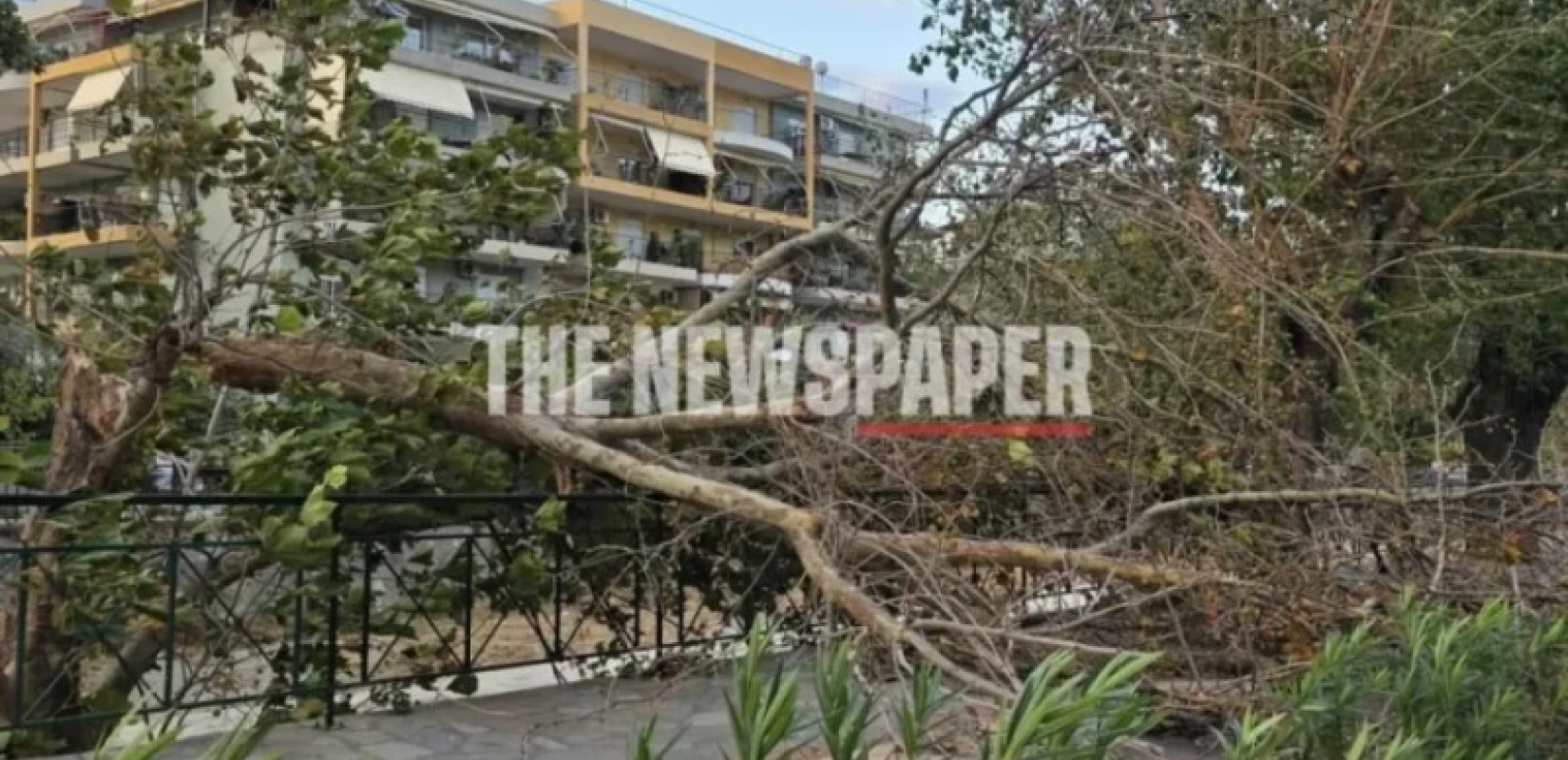 Σφοδροί άνεμοι έπληξαν τον Βόλο - Εικόνες καταστροφής στην πόλη (βίντεο)