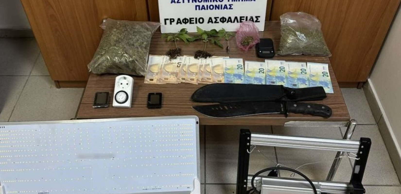 Φυτείες κάνναβης σε αυλές και «καβάτζες» – Τρεις συλλήψεις σε Πέλλα και Θεσσαλονίκη