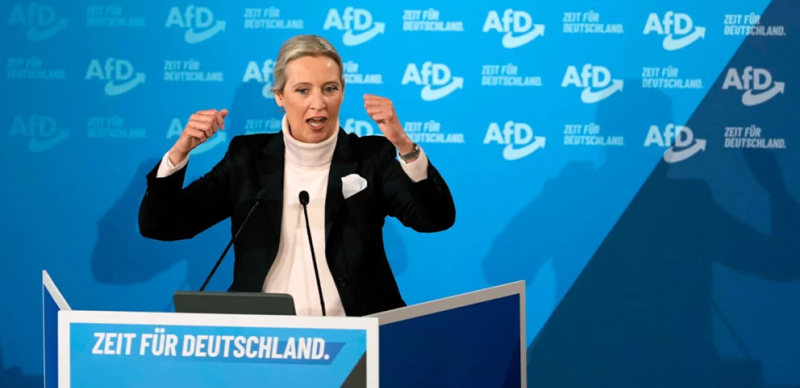 Γερμανία: Το ακροδεξιό AfD έχασε και τους τρεις δήμους που διεκδικούσε στις τοπικές εκλογές