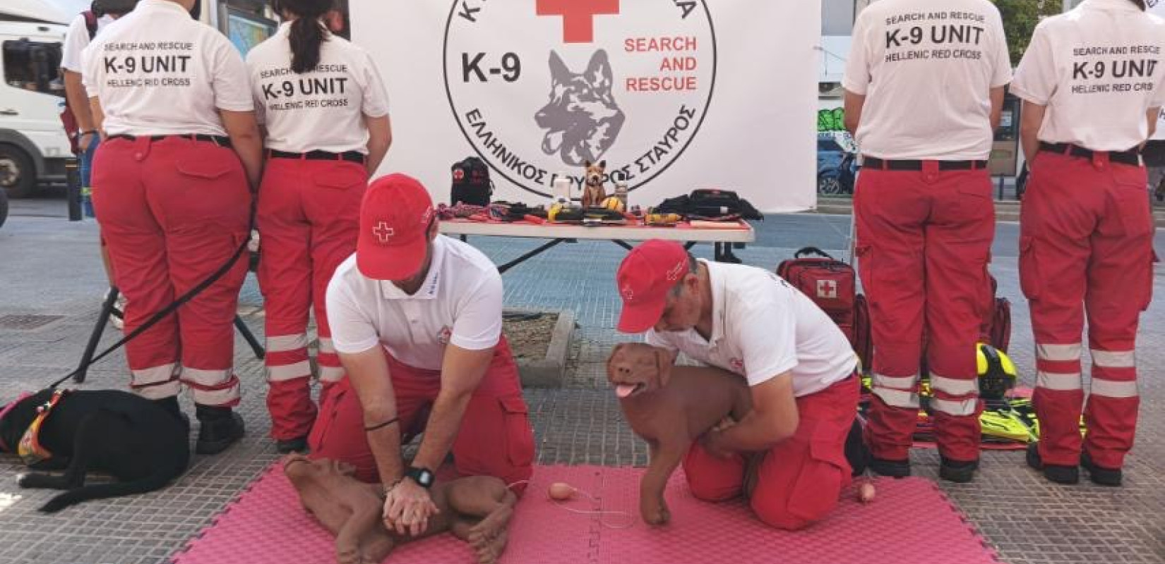 Θεσσαλονίκη - Δωρεάν εκπαιδευτική Δράση: Πρώτες Βοήθειες για Σκύλους
