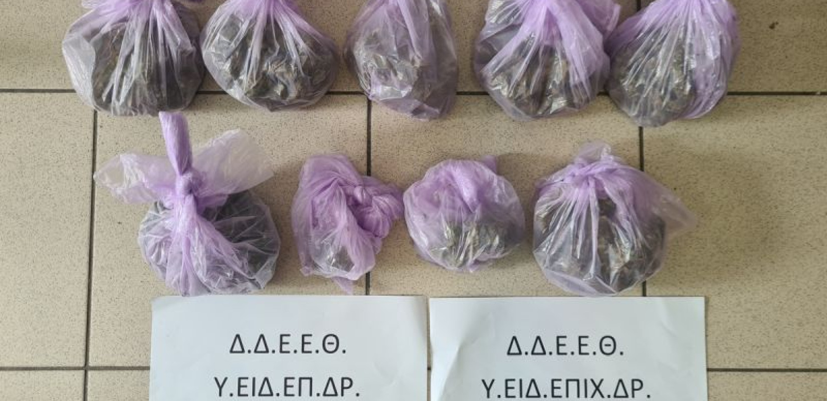 «Σπίτι-θερμοκήπιο» κάνναβης εντόπισαν οι Αρχές στην Πιερία – Σύλληψη 32χρονου