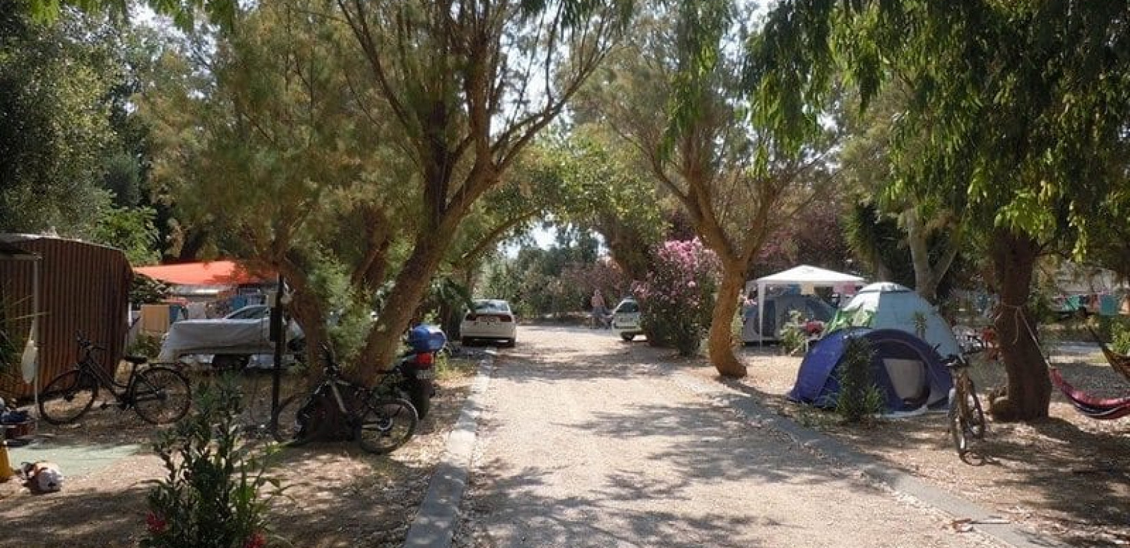 Πως έπιασαν τον δράστη της διπλής δολοφονίας στη Φοινικούντα - Φέρνουν στη ΓΑΔΑ τον ανιψιό για αναγνώριση