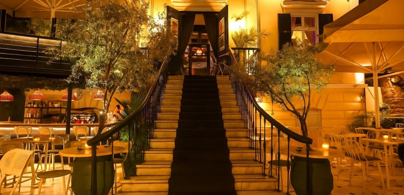 Το Δέντρο στο Bar: Ένα θρυλικό στέκι της Θεσσαλονίκης που άνθισε μέσα από τις ρίζες της ιστορίας