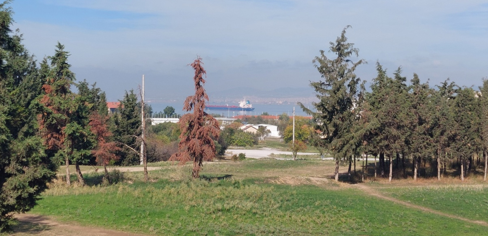 Καλαμαριά: Τα 3 βήματα για την αξιοποίηση του Κόδρα - Ούτε ένα νέο τούβλο δεν θα μπει, ξεκαθαρίζει η Χρύσα Αράπογλου