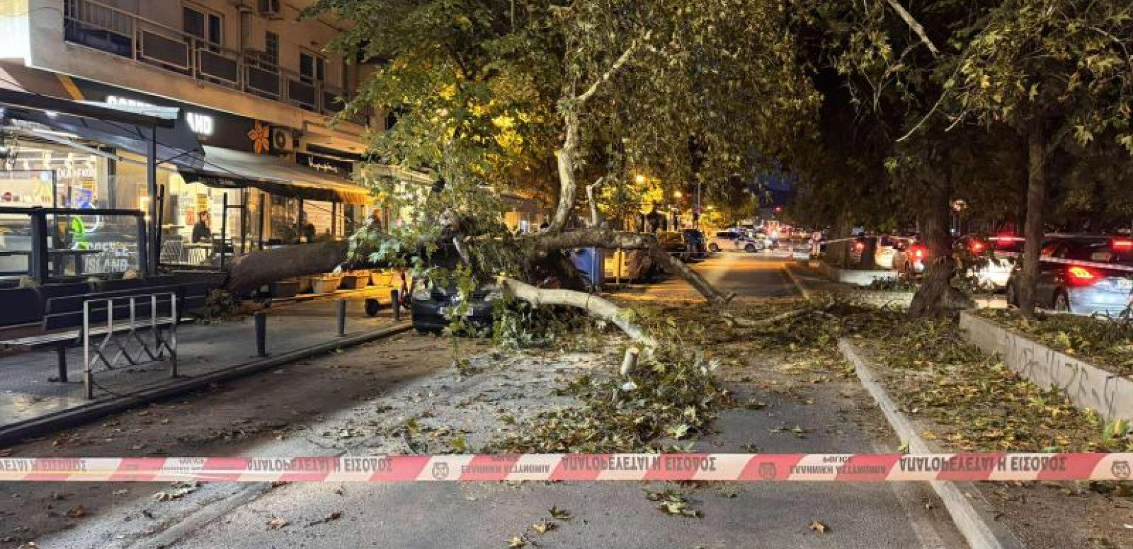 Τούμπα: Δέντρο έπεσε σε Ι.Χ. στη Γρηγορίου Λαμπράκη - Κλειστό το ρεύμα προς το κέντρο