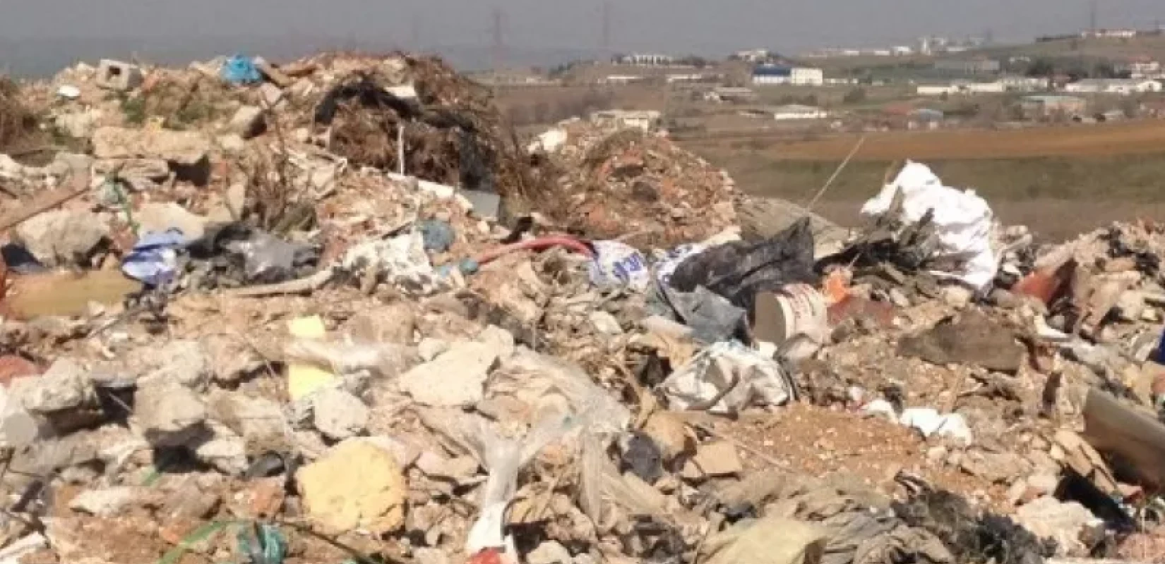 Συναγερμός στην Κομοτηνή: Nεκρά ζώα βρέθηκαν σε εγκαταλελειμμένη περιοχή στον Ίασμο Συναγερμός στην Κομοτηνή: Nεκρά ζώα βρέθηκαν σε εγκαταλελειμμένη περιοχή στον Ίασμο