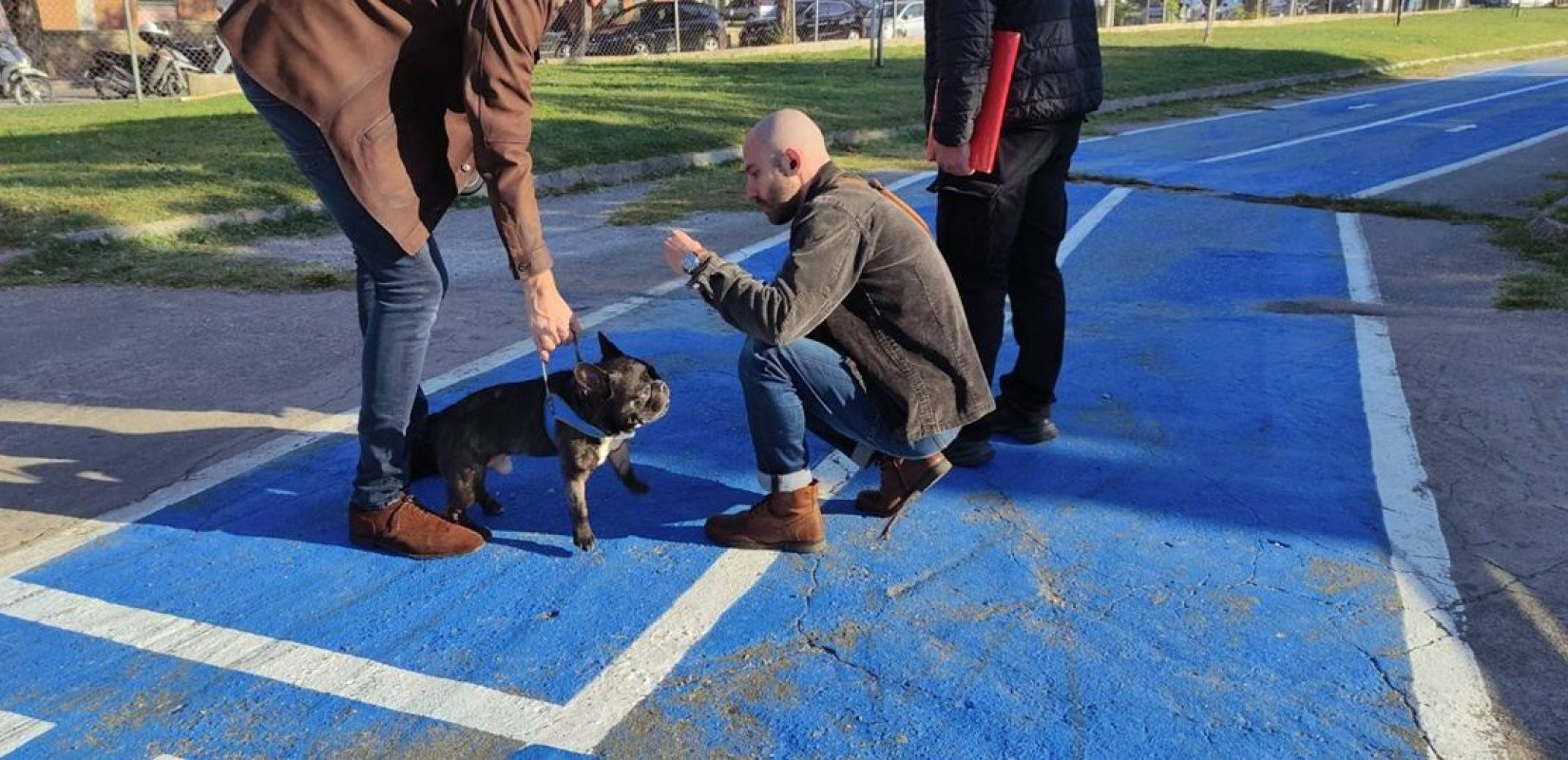 Θεσσαλονίκη: 17 πρόστιμα έως 500 ευρώ σε ιδιοκτήτες ζώων για παραβάσεις τον μήνα Οκτώβριο