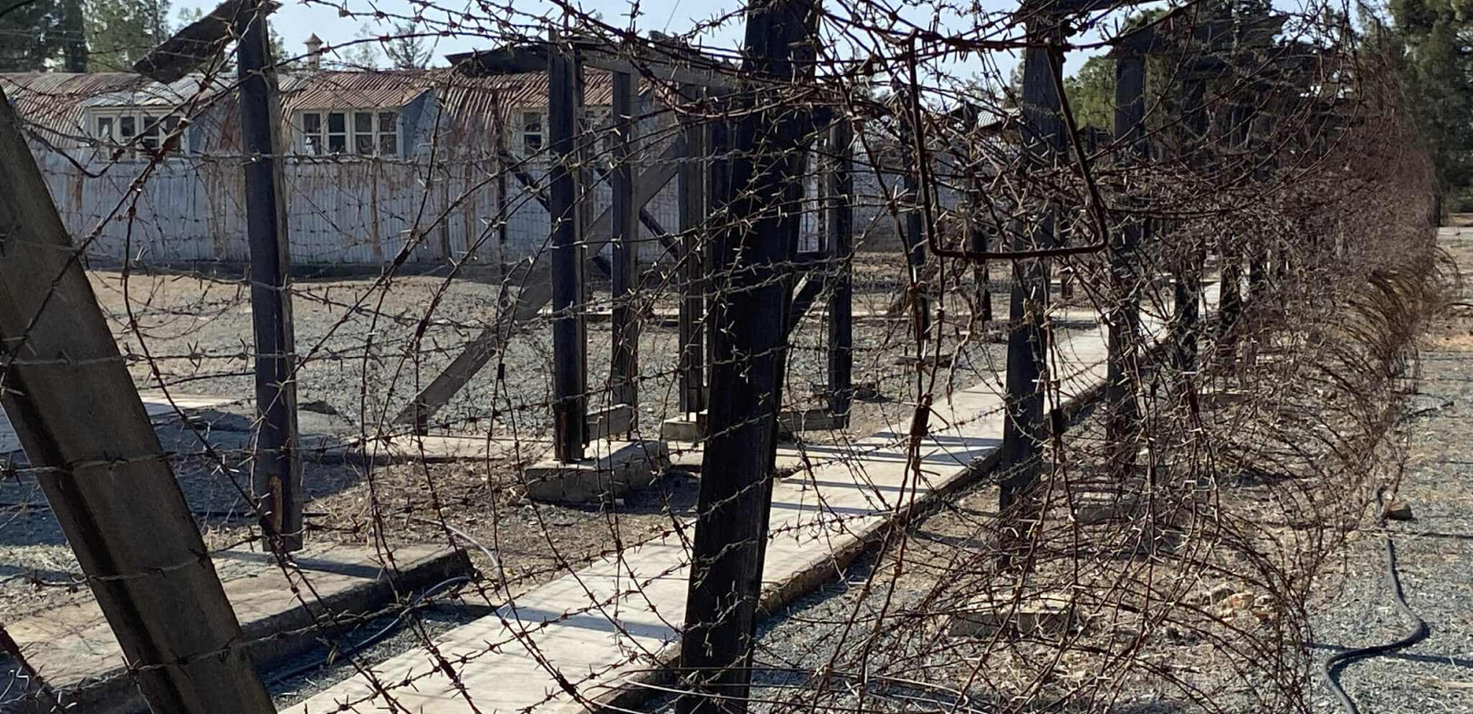 Κύπρος: «Ζούσαμε στο τραπέζι του θανάτου, συνδαιτιμόνες, όλη μέρα, για τέσσερα χρόνια» -Μαρτυρία πρώην αγωνιστή της ΕΟΚΑ