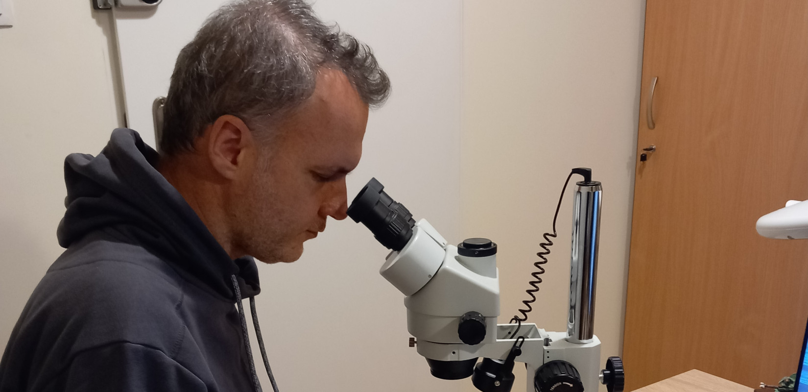 Έλληνας παλαιοντολόγος ανακάλυψε είδος φιδιού ηλικίας 37 εκατ. ετών